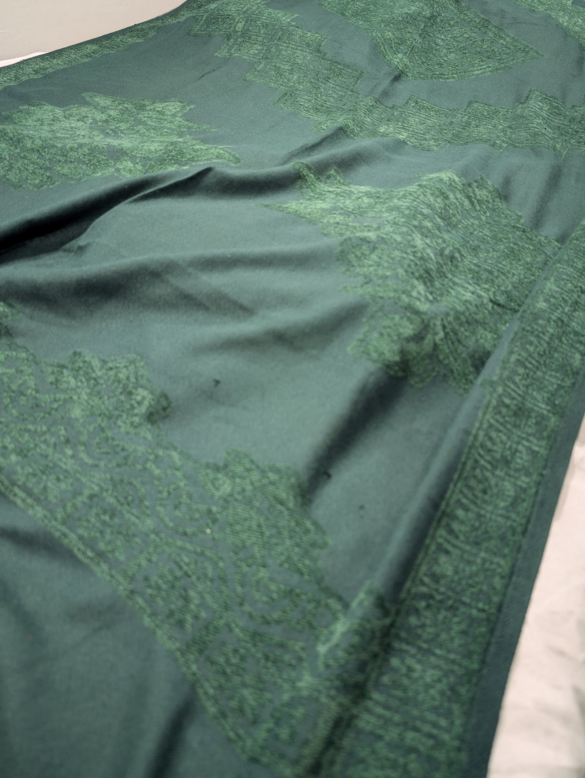 3PC MARINA SELF EMBOSSED WITH HIGH QUALITY RICH VELVET WOOL SHAWL LUXURIOUS WINTER COLLECTION (SAGE GREEN)
